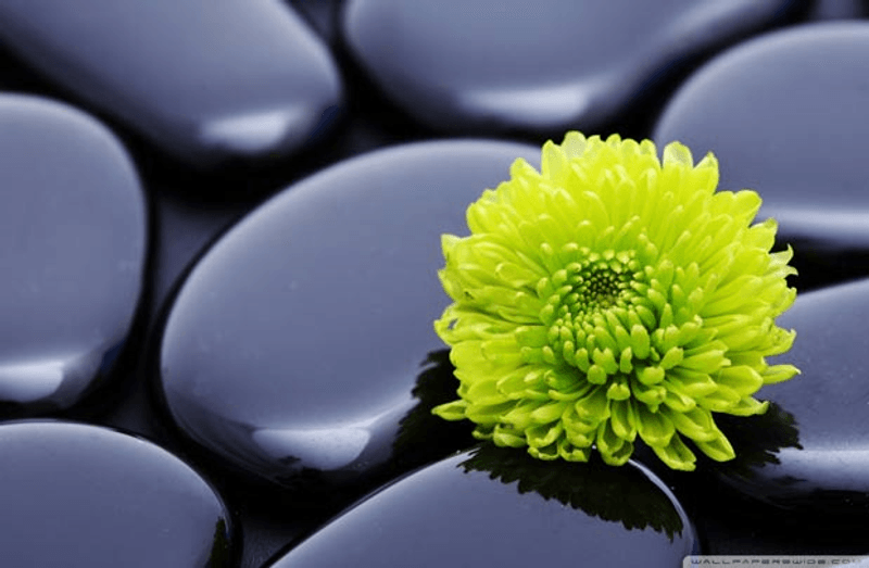 Thumbnail Course Detail