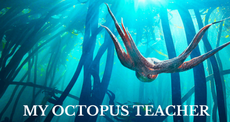 Thumbnail Course Detail